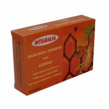 Jalea Real + Ginseng + Acerola Integralia