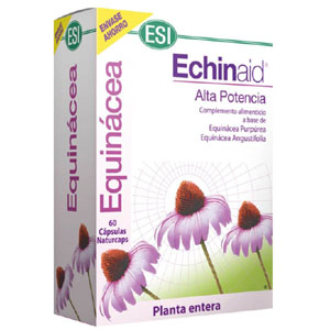 Echinaid 60 cápsulas