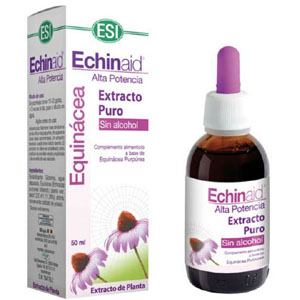 Echinaid Extracte sense alcohol